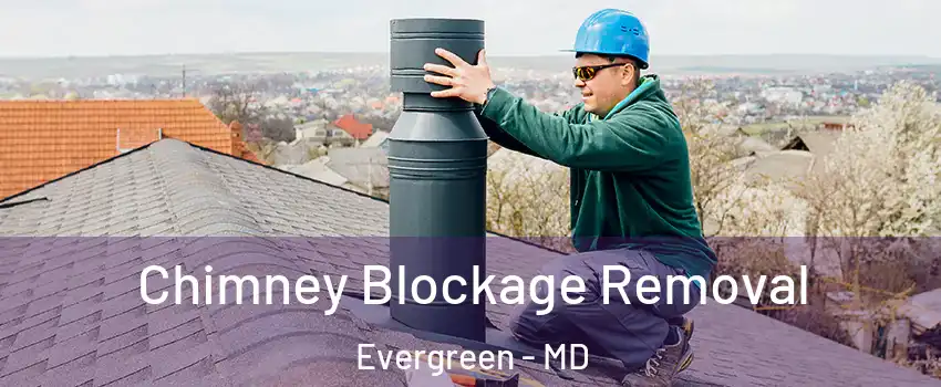 Chimney Blockage Removal Evergreen - MD