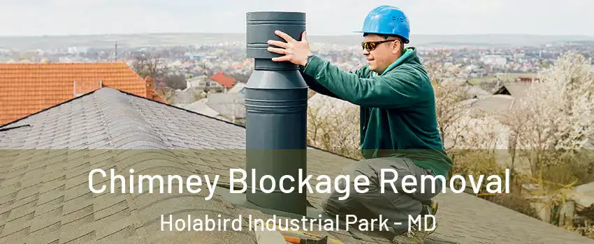 Chimney Blockage Removal Holabird Industrial Park - MD