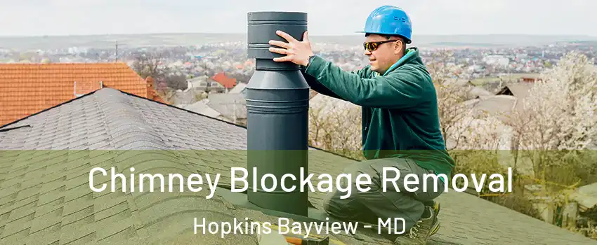 Chimney Blockage Removal Hopkins Bayview - MD