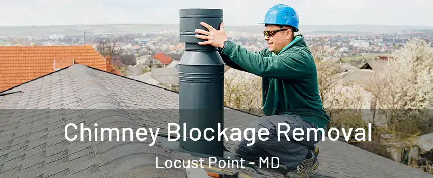 Chimney Blockage Removal Locust Point - MD