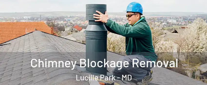 Chimney Blockage Removal Lucille Park - MD