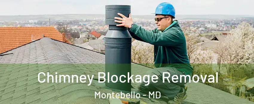 Chimney Blockage Removal Montebello - MD