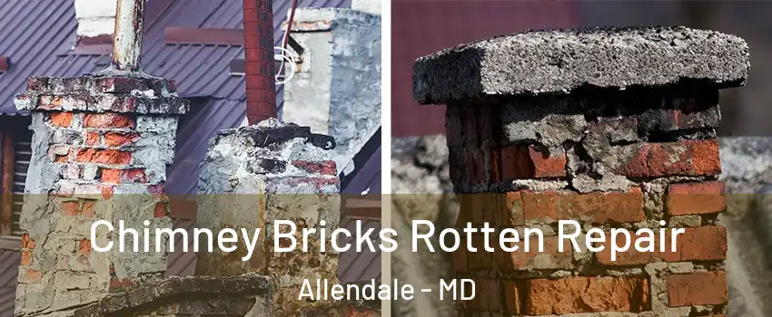 Chimney Bricks Rotten Repair Allendale - MD