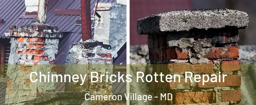 Chimney Bricks Rotten Repair Cameron Village - MD