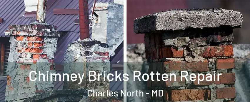 Chimney Bricks Rotten Repair Charles North - MD