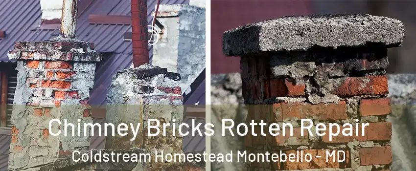 Chimney Bricks Rotten Repair Coldstream Homestead Montebello - MD