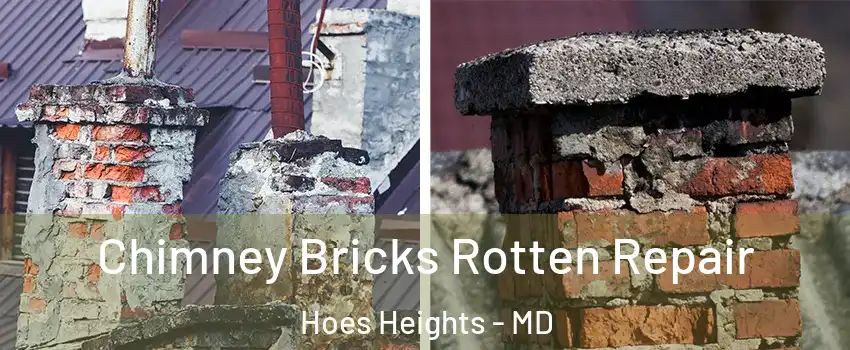 Chimney Bricks Rotten Repair Hoes Heights - MD