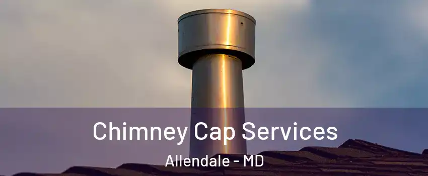 Chimney Cap Services Allendale - MD