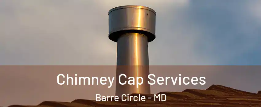 Chimney Cap Services Barre Circle - MD