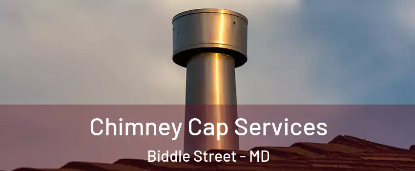 Chimney Cap Services Biddle Street - MD