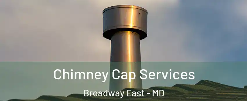 Chimney Cap Services Broadway East - MD