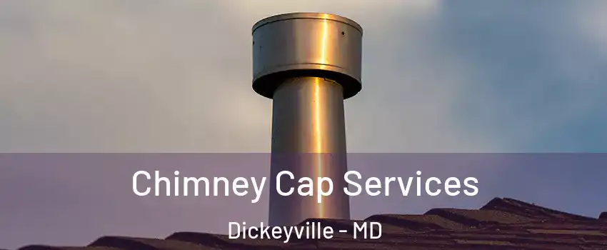 Chimney Cap Services Dickeyville - MD