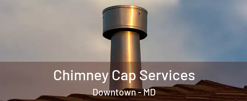 Chimney Cap Services Downtown - MD