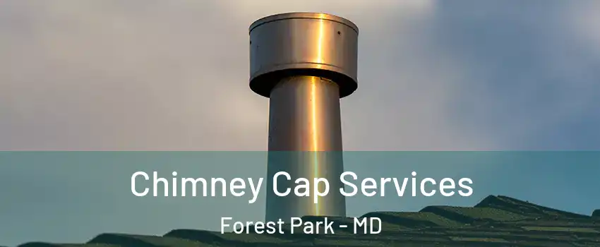 Chimney Cap Services Forest Park - MD