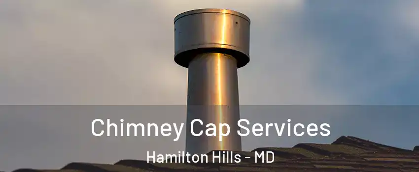 Chimney Cap Services Hamilton Hills - MD