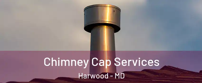 Chimney Cap Services Harwood - MD