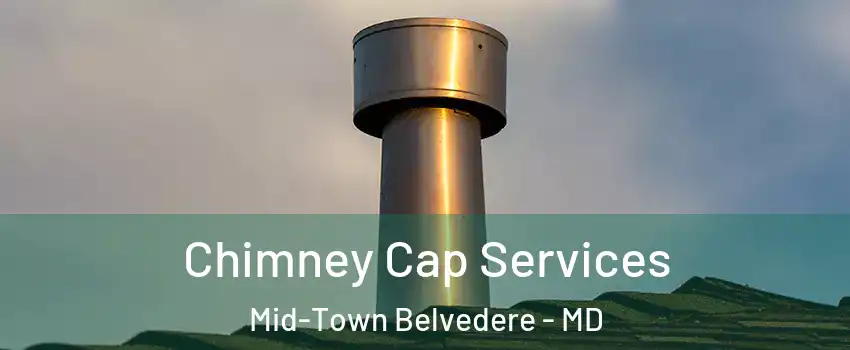 Chimney Cap Services Mid-Town Belvedere - MD