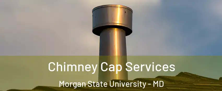 Chimney Cap Services Morgan State University - MD