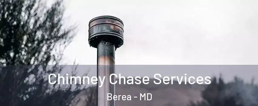 Chimney Chase Services Berea - MD