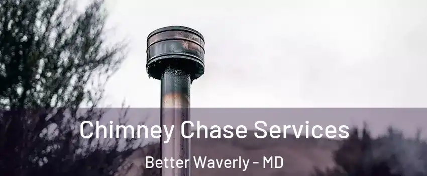 Chimney Chase Services Better Waverly - MD