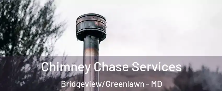 Chimney Chase Services Bridgeview/Greenlawn - MD