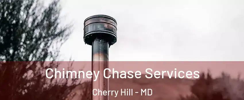 Chimney Chase Services Cherry Hill - MD