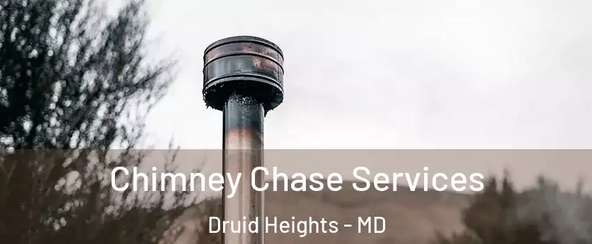 Chimney Chase Services Druid Heights - MD