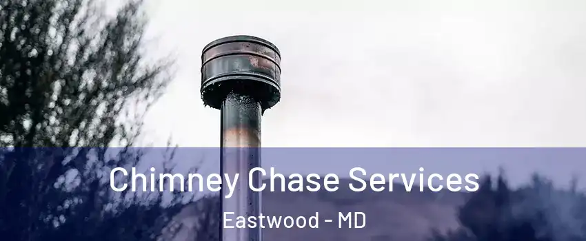 Chimney Chase Services Eastwood - MD