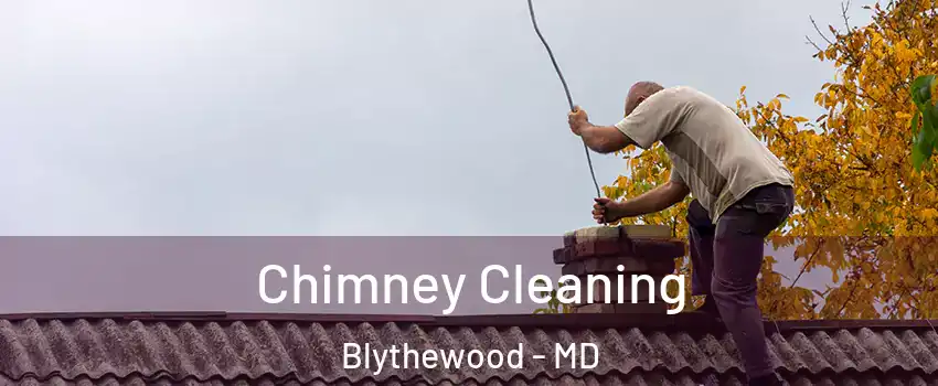 Chimney Cleaning Blythewood - MD