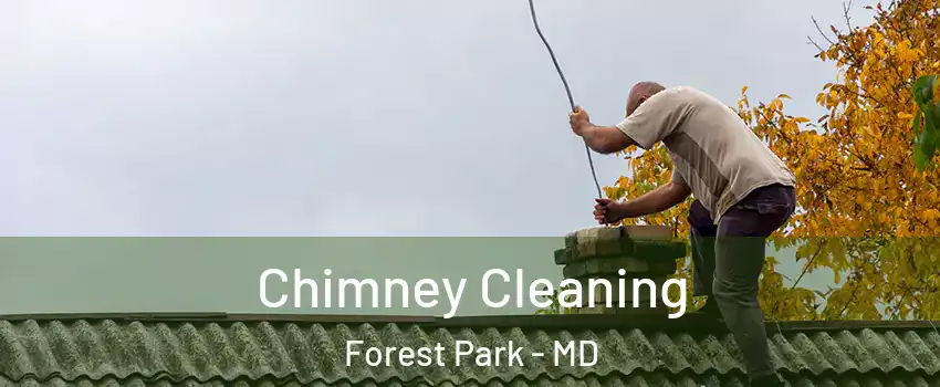 Chimney Cleaning Forest Park - MD