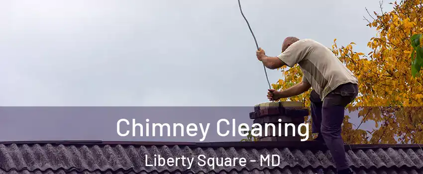 Chimney Cleaning Liberty Square - MD