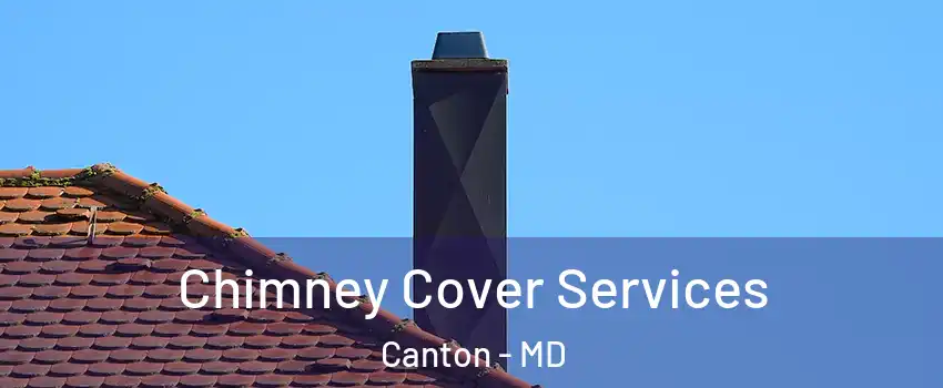 Chimney Cover Services Canton - MD