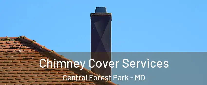 Chimney Cover Services Central Forest Park - MD