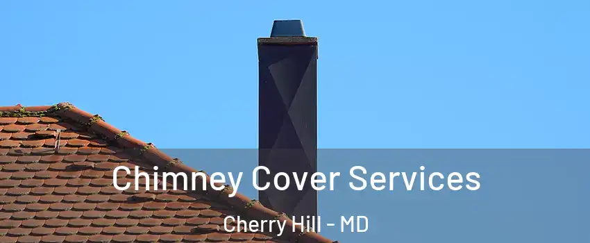 Chimney Cover Services Cherry Hill - MD