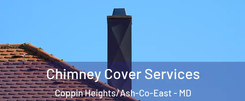 Chimney Cover Services Coppin Heights/Ash-Co-East - MD