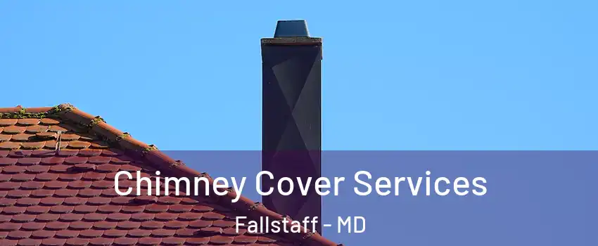 Chimney Cover Services Fallstaff - MD