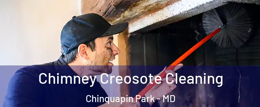 Chimney Creosote Cleaning Chinquapin Park - MD