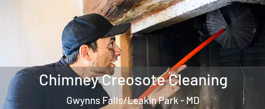 Chimney Creosote Cleaning Gwynns Falls/Leakin Park - MD