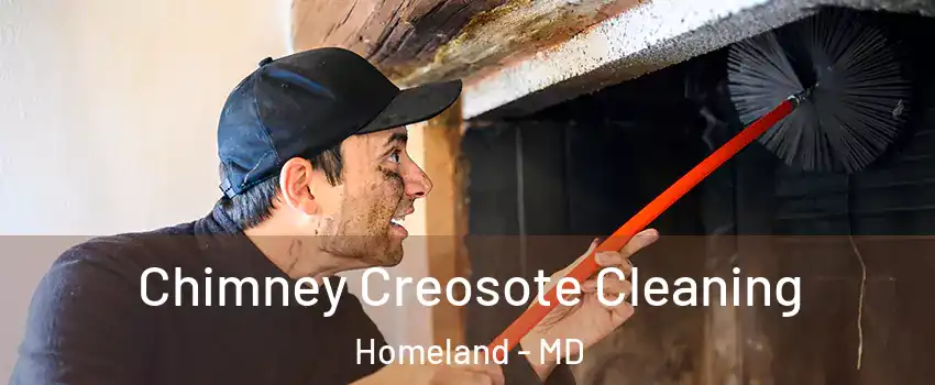 Chimney Creosote Cleaning Homeland - MD