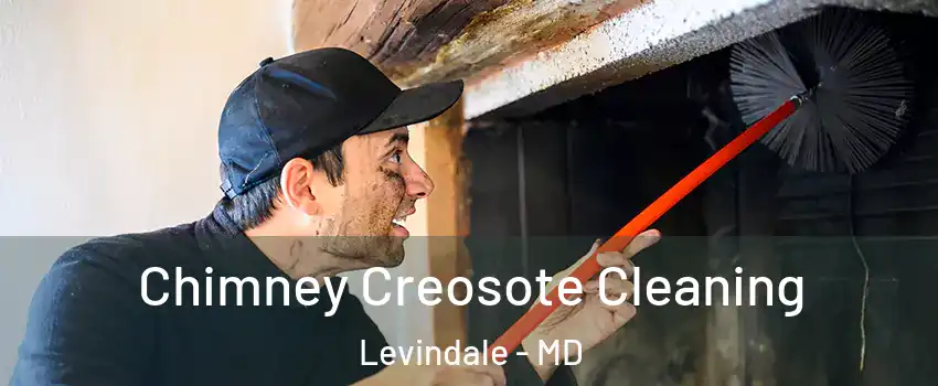 Chimney Creosote Cleaning Levindale - MD