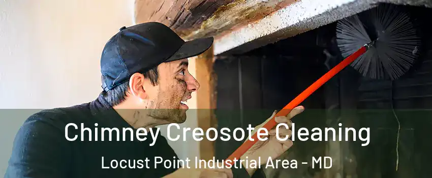 Chimney Creosote Cleaning Locust Point Industrial Area - MD