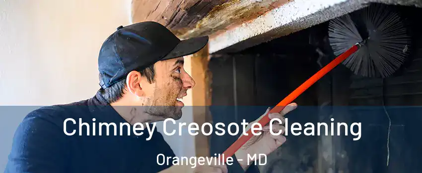 Chimney Creosote Cleaning Orangeville - MD