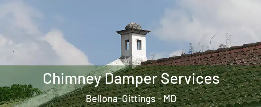 Chimney Damper Services Bellona-Gittings - MD