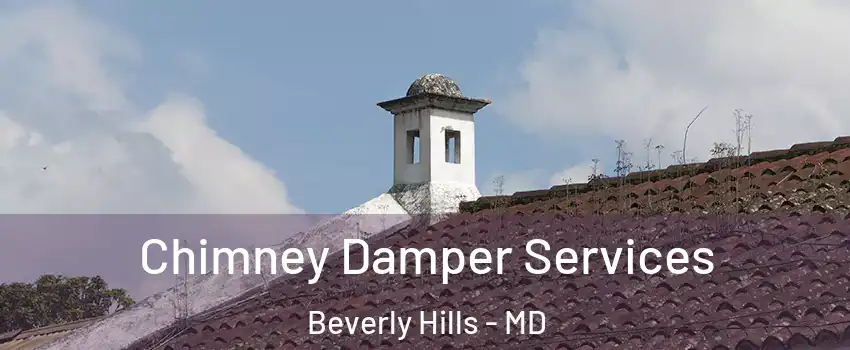 Chimney Damper Services Beverly Hills - MD