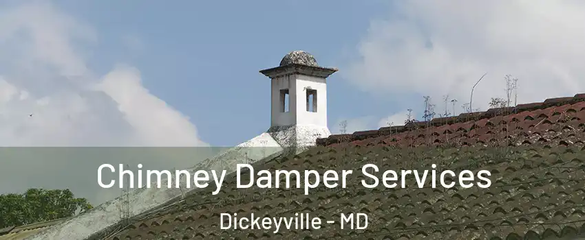 Chimney Damper Services Dickeyville - MD