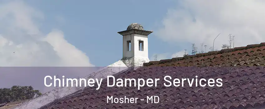 Chimney Damper Services Mosher - MD