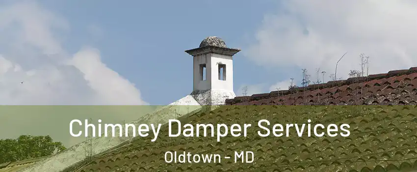 Chimney Damper Services Oldtown - MD