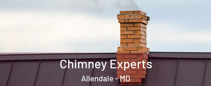 Chimney Experts Allendale - MD