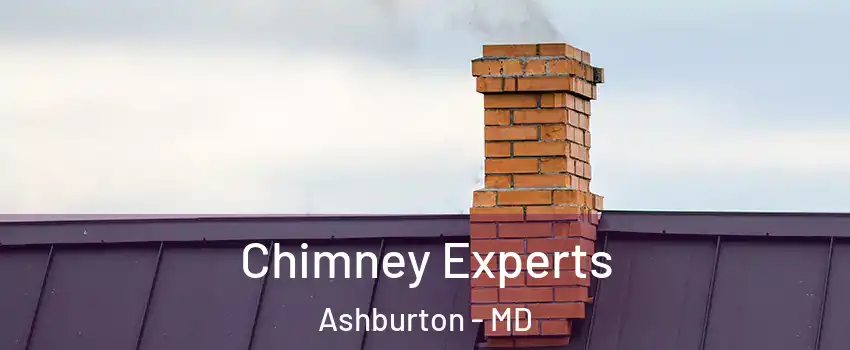 Chimney Experts Ashburton - MD