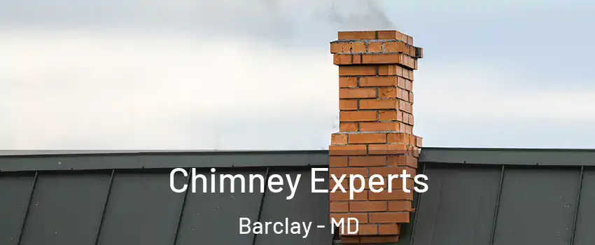 Chimney Experts Barclay - MD